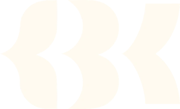 BK Medical